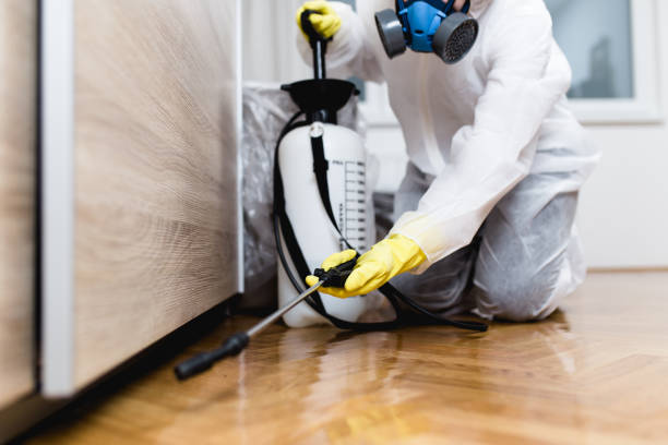 Best Fumigation Services  in Elgin, IL